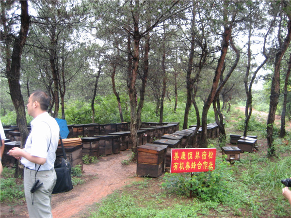 有機蜂場(chǎng)